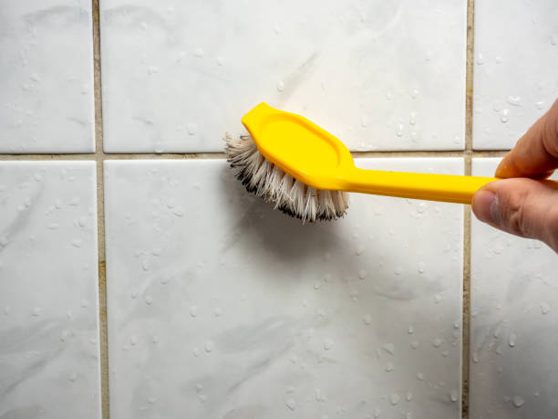 Best Mold Inspection  in Arcadia, WI